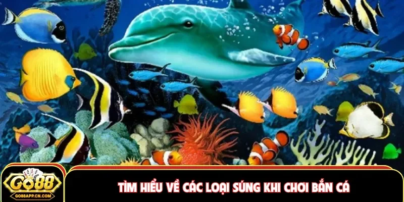 Tìm hiểu về các loại súng khi chơi bắn cá